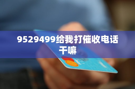 9529499给我打催收电话干嘛