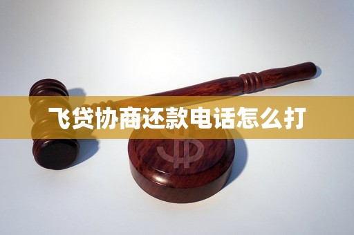 飞贷协商还款电话怎么打