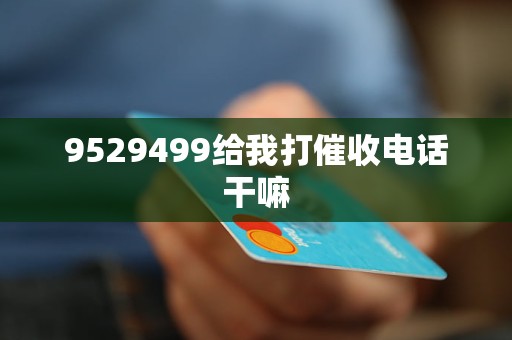 9529499给我打催收电话干嘛