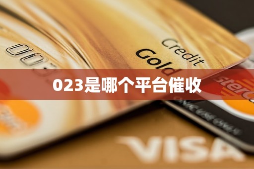 023是哪个平台催收