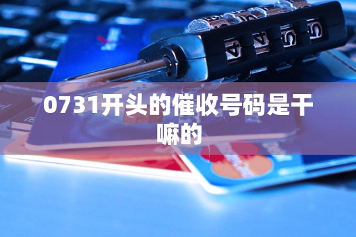 0731开头的催收号码是干嘛的