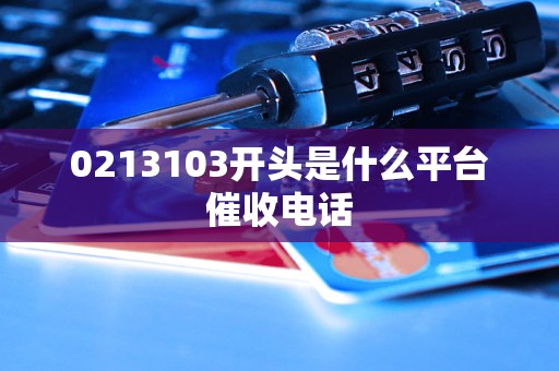 0213103开头是什么平台催收电话
