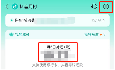 未收到货可以关闭抖音月付功能吗
