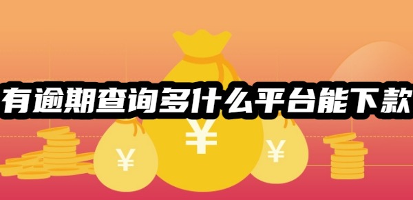有逾期查询多什么平台能下款