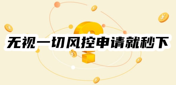 无视一切风控申请就秒下的口子