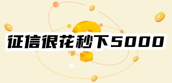 征信很花秒下5000的平台