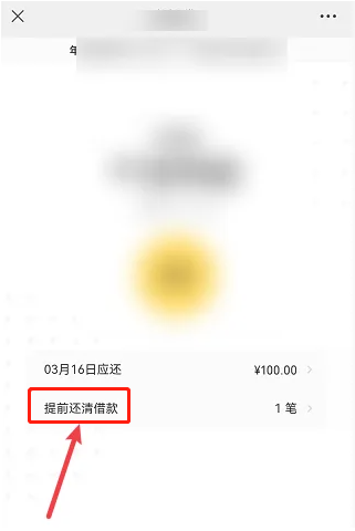 微粒贷分期20个月可以一次还五个月吗