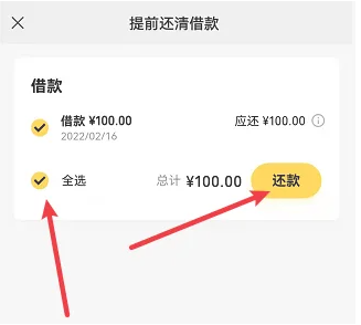 微粒贷分期20个月可以一次还五个月吗