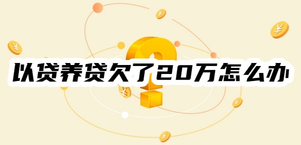 以贷养贷欠了20万怎么办