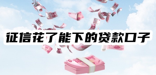 十大征信花了能下的贷款口子