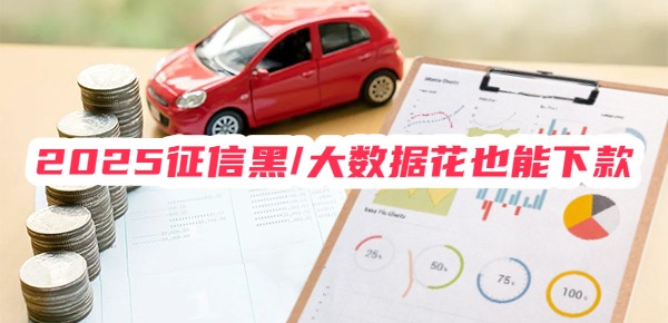 2025征信黑/大数据花也能下款