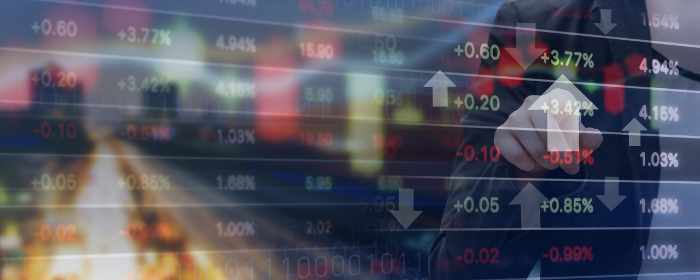 中央外汇什么意思